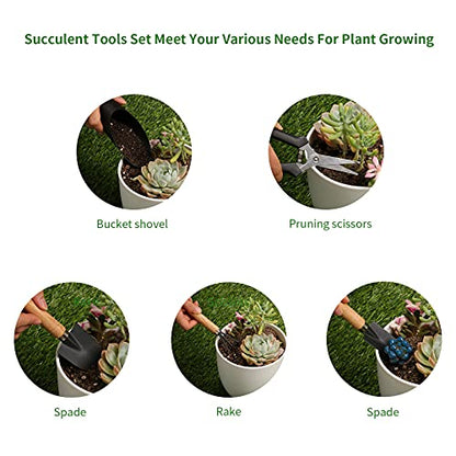 5 Pcs Succulent Tools, Mini Garden Tools, Small Indoor Plant Repotting Set | Pruning Scissors as Plant Accessories, Gardening Hand Tools Kit for Seedling Soil,Caring Succulent,Houseplant,Bonsai - style: Luxury Garden Tools