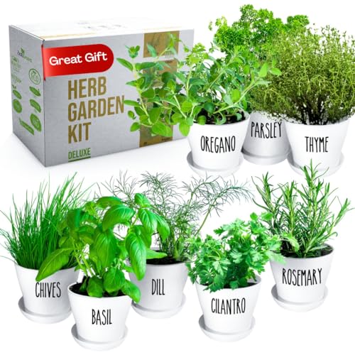Herb Garden Starter Kit - 8 USA Culinary Herbs | Includes 8 culinary herbs, pots and soil for windowsill, kitchen or patio growing - color: 8 Herb