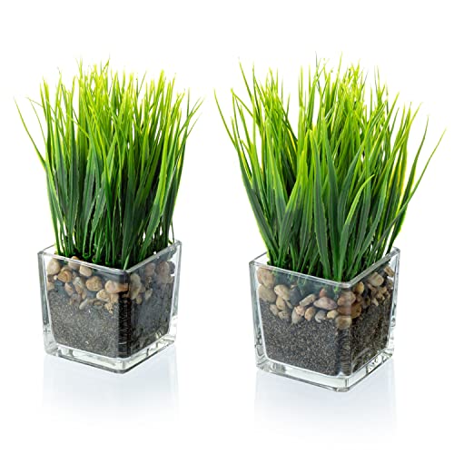 MyGift Set of 2 Artificial Grass Plants in Square Glass Pots with Pebbles | Faux grass greenery brings a fresh decorative touch to desks, shelves, counters, and tabletops without watering or upkeep - color: Clear