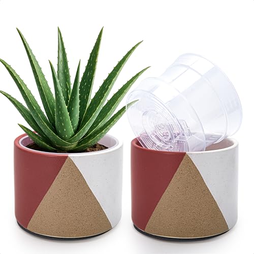 D'vine Dev 2-Pack Cachepot with Clear Pot, 6.5" Low, Crimson Dune, 93-V-D-4 | Dual-Pot System, Root Visibility, Bottom Watering Support, Enhanced Drainage, Artistic Stoneware Design, Easy Plant Care - color: Crimson Dune, size: 6.5” Cachepot + 6“ Clear Gr