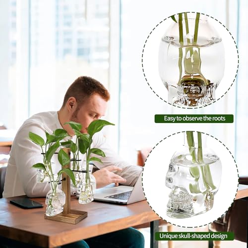 Plants Propagation Stations Skull Glass Propagation Birthday Gift for Women | Garden Plant Lovers - 4 Skull - color: Transparent