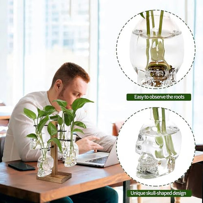 Plants Propagation Stations Skull Glass Propagation Birthday Gift for Women | Garden Plant Lovers - 4 Skull - color: Transparent