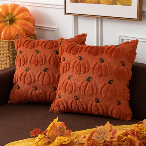 Kevin Textile Pumpkin Fall Decorative Throw Pillow Covers 18x18 Inch Set of 2 Soft Faux Fur Pillow Covers for Autumn Harvest Fluffy Plush Accent Pillow Cases for Halloween Thanksgiving Gifts Rust - color: Rust, size: 18" x 18" (Pack of 2)