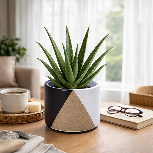 D'vine Dev 2-Pack Cachepot with Clear Pot, 6.5"low, Midnight Mesa, 93-V-D-2 | Dual-Pot System, Root Visibility, Bottom Watering Support, Enhanced Drainage, Artistic Stoneware Design, Easy Plant Care - color: Midnight Mesa, size: 6.5” Cachepot + 6“ Clear G