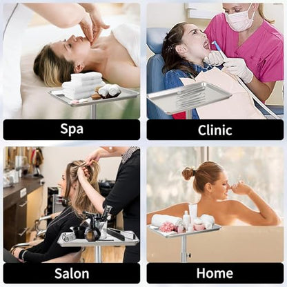Salon Tray, Salon Color Tray with Adjustable Height, Salon Tray on Wheels, Salon Rolling Tray, Ideal Use As Tattoo Tray＆Dental Tray - color: Silver