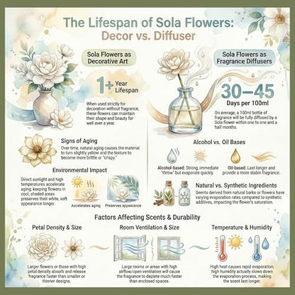 6pcs White 3" Peony Brides Dream Sola Wood Flower Diffuser with Reed Sticks for Home Fragrance Essential Oil DIY Decor