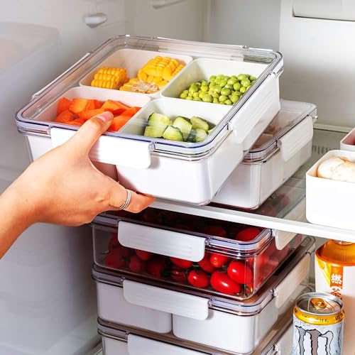 MANO Serving Tray for Party Divided Veggie Tray with Lid Sealed Sectioned Fruit Snack Serving box Vegetable Storage with 4 Compartments Snackle Box Charcuterie Container Fridge Organizer