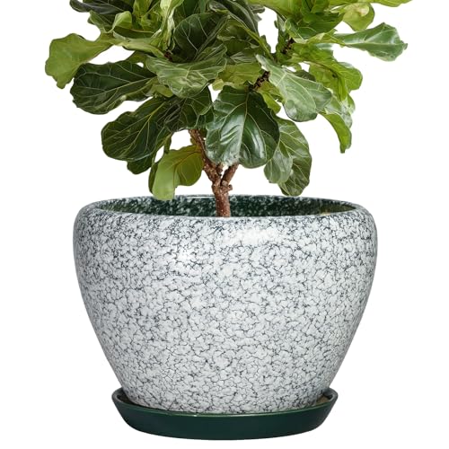 10 Inch Ceramic Planter, Crackle Green | Drainage Hole and Saucer, Indoor Outdoor, Round Modern Design, Garden Decor - color: Crackle Green, size: 10 Inch