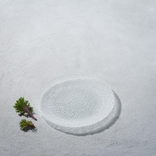 Spark Ocean Decor Clear Glass Salad Plates - Fancy Textured Set - Dishwasher Safe, Service for Four