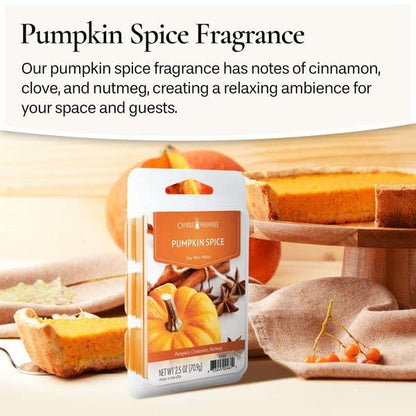 Candle Warmers ETC 2-in-1 Candle and Fragrance Warmer Bundle with Pumpkin Spice Wax Melt Fragrance (Black and Bronze)
