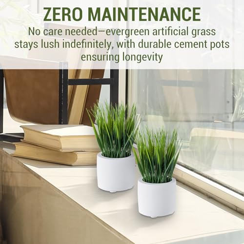 MyGift Artificial Grass Plants in Modern Cylindrical White Cement Pots, Decorative Faux Greenery Plant in Tabletop Planter, Set of 2 - color: White (Round)