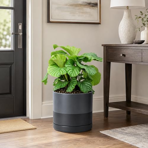 D'vine Dev 10 Inch Ceramic Planter Pot, Slate, 94-O-E-5 | Modern Cylinder Design, Drainage Hole & Saucer Included, Stable Structure, Elegant Home Accent - color: Slate, size: Large