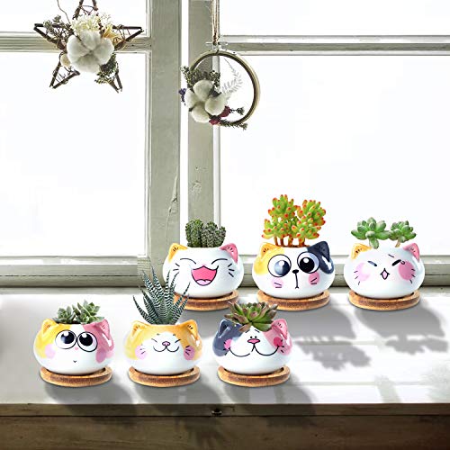 3.6Inch Cat Pot for Plant, Cat Planter Succulent Pot with Drainage Set of 6 | Tiny Animal Planter, Small Ceramic Air Plant Cat Flower Pots, Cactus Planters Containers with Bamboo Tray - color: Sitting Cats 6pcs