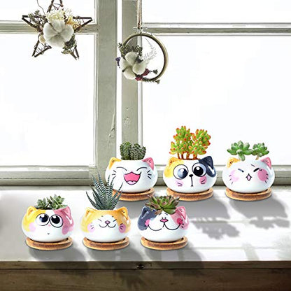 3.6Inch Cat Pot for Plant, Cat Planter Succulent Pot with Drainage Set of 6 | Tiny Animal Planter, Small Ceramic Air Plant Cat Flower Pots, Cactus Planters Containers with Bamboo Tray - color: Sitting Cats 6pcs