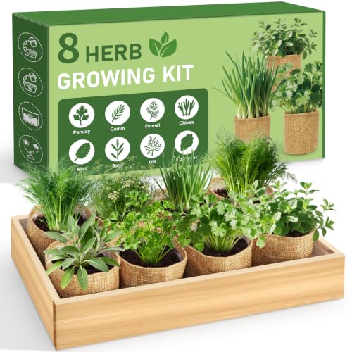 LUOJIBIE Herb Garden Kit Indoor, Herb Growing Kit with Seeds & Tools, Birthday Gifts for Women Men Mom Dad Girls Boys, House Warming Gifts New Home, Anniversary Wedding Gifts, Kitchen Décor