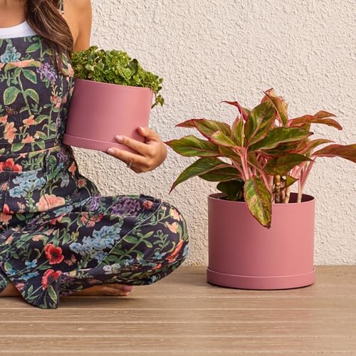 Bloem Mathers 6" Plastic Planter - Modern Indoor Pot with Drainage Holes and Saucer Tray, Dusty Rose - color: Dusty Rose, size: 6 "