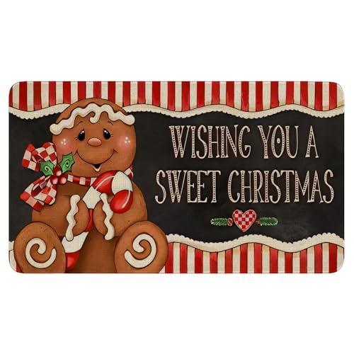 Merry Christmas Door Mat Outdoor for Front Door,Retro Vintage Gingerbread Holiday Welcome Doormat,Winter Xmas Floor Rugs for Indoor Porch Entrance Farmhouse Decor 30" x 17" - color: 2025 Christmas Doormat 6