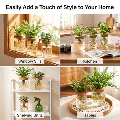 6Pcs 3 Size Glass Plant Propagation Stations, Desktop Flower Vases | Hydroponic Glass Container Vase (2 Large & 2 Medium & 2 Small) for Plant Cuttings, Desks, Living Room, Bedroom, Office Decor