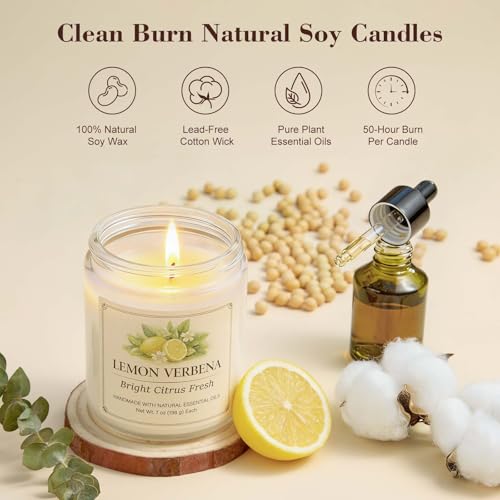 6 Pack Scented Candles Gift Set, 42oz Soy Candles, Jar Candles for Home | Up to 300 Hour Burn, Aromatherapy Candle Set, Natural Candles for Relaxation Bath, Housewarming Birthday Gifts for Women Mom - color: Scented Candles-6 Pack