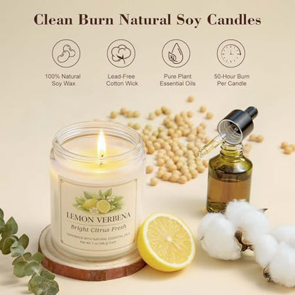 6 Pack Scented Candles Gift Set, 42oz Soy Candles, Jar Candles for Home | Up to 300 Hour Burn, Aromatherapy Candle Set, Natural Candles for Relaxation Bath, Housewarming Birthday Gifts for Women Mom - color: Scented Candles-6 Pack