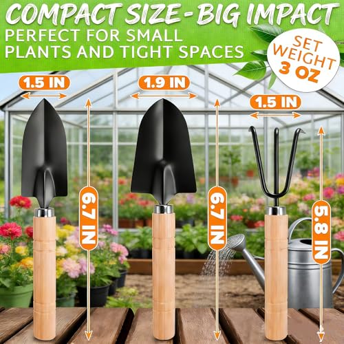3PCS Small Garden Tools Set - Mini Garden Tools Set with Trowel, Shovel & Hand Rake Made of Rust-Resistant Iron & Solid Wood for Indoor Plants, Succulents, Potting & Repotting