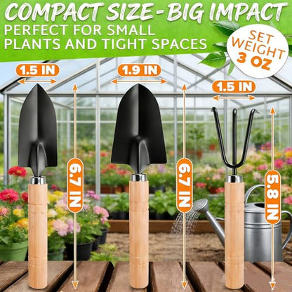 3PCS Small Garden Tools Set - Mini Garden Tools Set with Trowel, Shovel & Hand Rake Made of Rust-Resistant Iron & Solid Wood for Indoor Plants, Succulents, Potting & Repotting