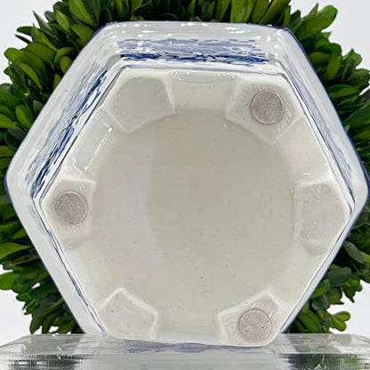 Galt International 9.5" Naturally Preserved Real Boxwood Ball in Hand-Painted Blue & White China Pot Planter Green Indoor Plant Home Decor (9.5" Tall Topiary) - size: Medium 9.5" Hexagon Pot
