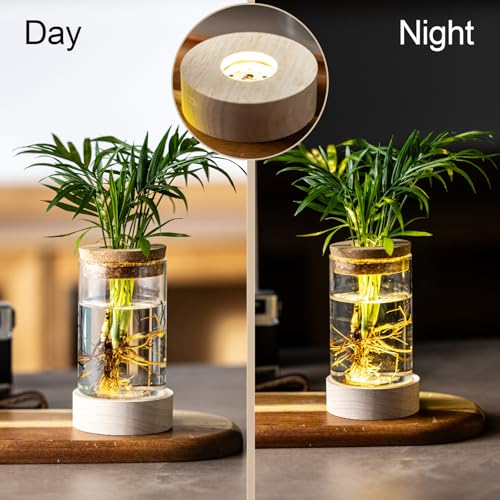 Glass Plant Propagation Stations, Propagation Vases for Plants with Ambient Light Base, Hydroponic Vase for Home & Office Windowsill Tabletop Decoration Desktop Vases for Living Room, Bedroom (9)