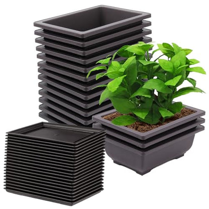 15 PCS 6.5 Inch Bonsai Training Pots with Trays, Rectangular Plastic Growing Pots, Flower Succulent Pots Container for Garden, Yard, Office, Porch, Balcony, Home Decoration - size: 6.5 Inch