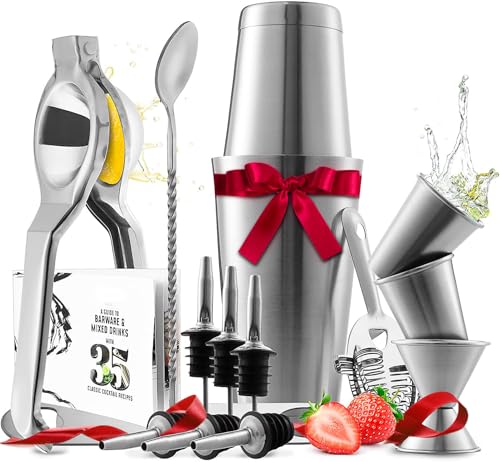 Bar Set Cocktail Shaker Set, Stainless Steel Mixology Bartender Kit, 16 Piece Cocktail Kit, Silver Cocktail Set, Bar Tools: 30oz Martini Shaker, Muddler, Bar Kit Cocktail Book, Jigger and Pourers - color: Silver, size: 16 Piece