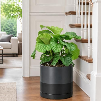 D'vine Dev 10 Inch Ceramic Planter Pot, Slate, 94-O-E-5 | Modern Cylinder Design, Drainage Hole & Saucer Included, Stable Structure, Elegant Home Accent - color: Slate, size: Large