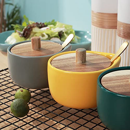everous Salt Box base grey color Salt Cellar Elegant Design salt Boxes Big Capacity Wood lid grey Ceramic Base with spoon salt pot