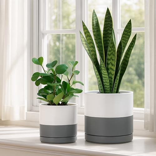D'vine Dev 2-Pack Ceramic Pots with Saucers, 6/8 in, White/Grey, 94-G-M-6 | Glazed Ceramic, Drainage Hole, Perfect-Fit Saucer, Sleek Cylinder Shape, High Temperature Fired, Elegant Home Accent - color: White/Speckled Grey, size: Medium