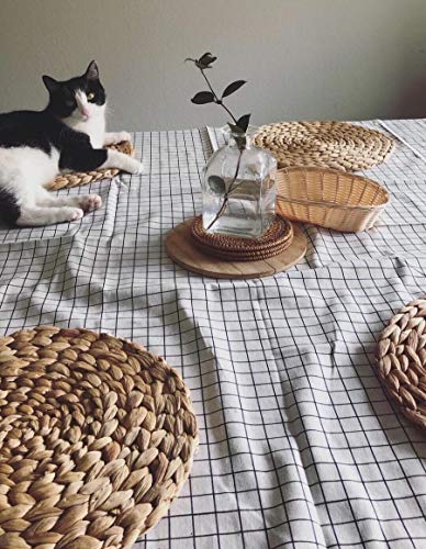 2 Pack Woven Placemats, 13.5 inches Natural Wicker Water Hyacinth Straw Braided Tablemats for Dining Table - size: Plate Chargers 13.8 inch-2