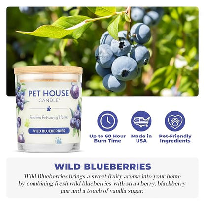 Pet House Candles, Natural Soy-Based, Clean Burning Pet Friendly Candles, 60 Hour Burn Time - Wild Blueberries, 9 oz, 2 Pack - color: Wild Blueberries, size: Pack of 2