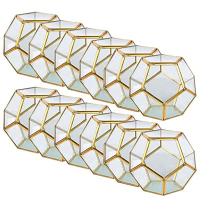 Ashland 5.5” Gold Octagon Glass Terrarium - Geometric Planter for Succulents and Air Plants - Bulk 12 Pack