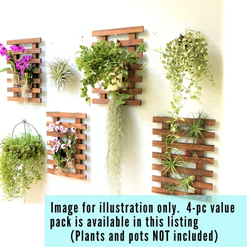 ShopLaLa Wooden Wall Planter for Succulents (40cm) Air Plant Wall Hanger | Indoor Outdoor, Live Orchid Wall Wood Display Frame Vertical Garden Balcony Deck Bathroom Macetas para Plantas De Aire - size: 40cm (15.7")
