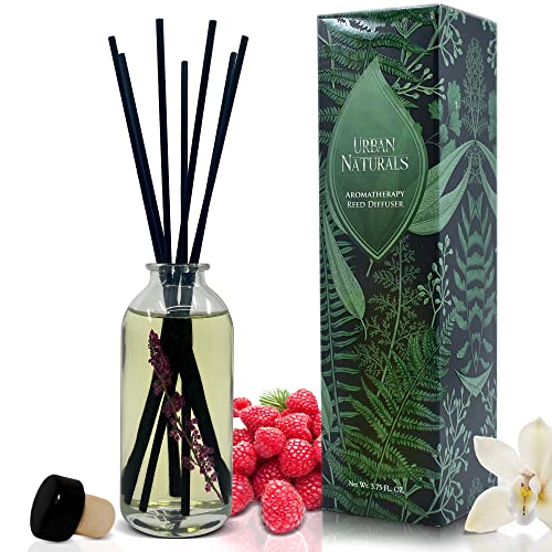 Reed Diffuser Set, Black Raspberry Vanilla - Shelf Décor | Made with Essential Oils & Real Botanicals, Blackberry, Amber, Vanilla Orchid & Sandalwood, Made in the USA - color: Black Raspberry Vanilla