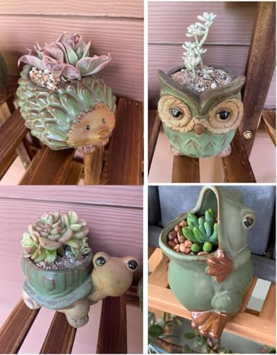 Cute Animal Shaped Vase Pot Home Decoration for Small Succulent Plants Cartoon Flower Pot Ceramic Succulent Planter with Drainage Hole Succulent Holder (4 Pcs) - size: 4 Pcs