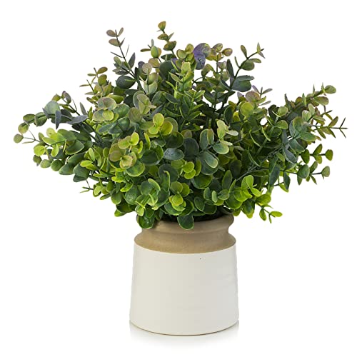Artificial Potted Plants, Artificial Eucalyptus Grass Topiary in White Ceramic Pots with Faux Water, Fake Plants in Pots for Farmhouse, Home Decor Indoor, Table Centerpieces - color: Pl-0014