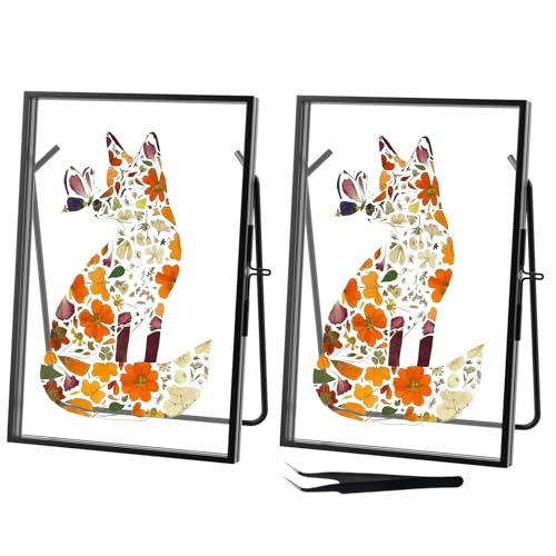 2 PCS Floating Double Picture Frame Hinged Folding, 4x6 Elegant Thin Edge Metal Real Glass Brass Photo Frames for Tabletop Wall Display, Christmas Day Gift Home Decorative Art Cfafts,Vertical, Retangle, Black - color: Black-Re