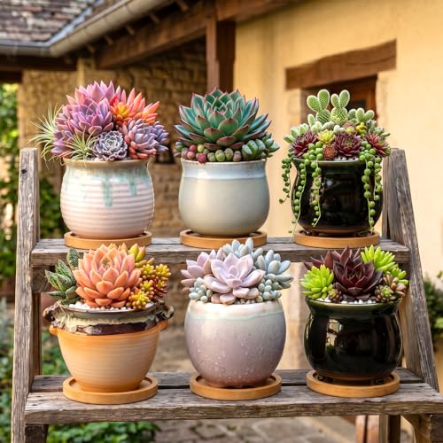 3.5 Inch Succulent Pot with Drainage,Planting/Flower Pots | Small Planter Pot for Mini Plant Ceramic Flowing Glaze Base Serial Set with Holes,Flower Pots with Tray for Home - size: 3.5inch-6pack
