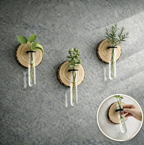 Wall Mounted Test Tube Vase with Natural Wood Slice Base, Hanging Propagation Station for Plants, Rustic Boho Home Decor (3pc Multicolor) - color: 3pc Multicolor