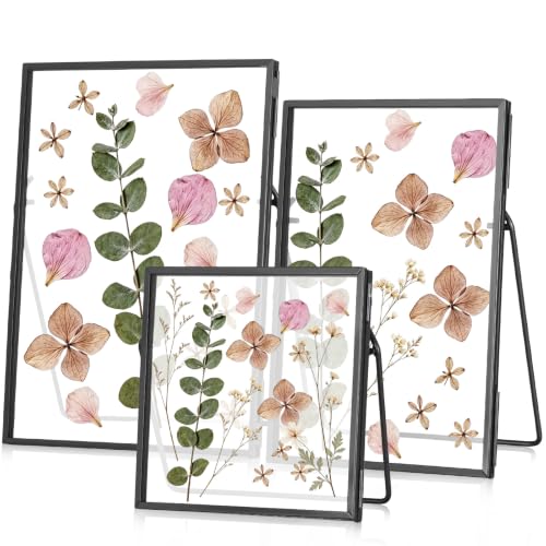 3 Pack Glass Pressed Flower Frame Handmade, 4 x 4, 4 x 6, 5 x 7 floating Picture Frames for Pressed Flowers, Brass Double Glass for Tabletop Display, Plant Specimen, Photos(Black) - color: Black, size: 4x4,4x6,5x7 Inches