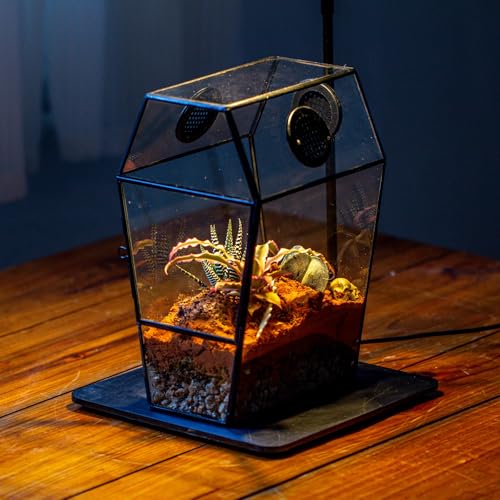NCYP Gothic Glass Enclosure for Jumping Spider, Snails, Insects - Front Opening Door Geometric Terrarium with Vent Holes, Indoor Tabletop Coffin Shape Decor, Black (Terrarium Only)