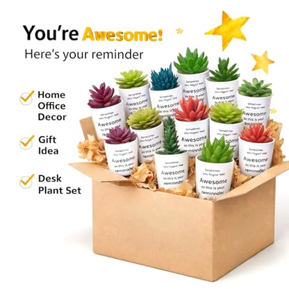 24 Set Mini Fake Succulents in Pots Back to School Gifts Plastic Artificial Faux Plants for Students Teachers Classmates Dorm Decor Study Desk Accessories
