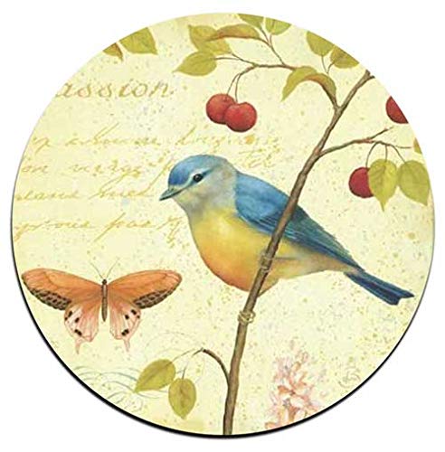 Bird and Butterfly Round Coaster Set - Made of Recycled Rubber - Set of 4 - color: Bird and Butterfly