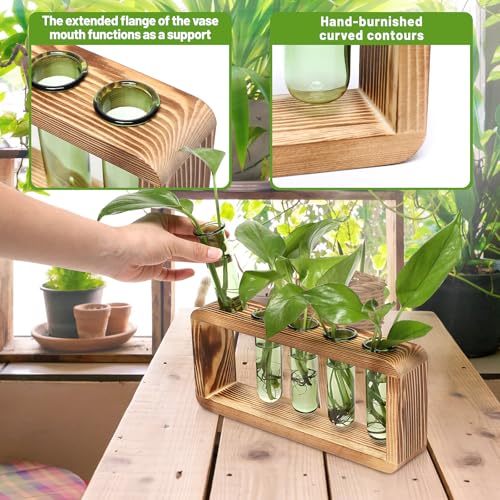 Glass Plant Propagation Station with 5 Test Tubes Colorful Planter Vase | Birthday Gifts for Women in Wooden Stand - color: Green