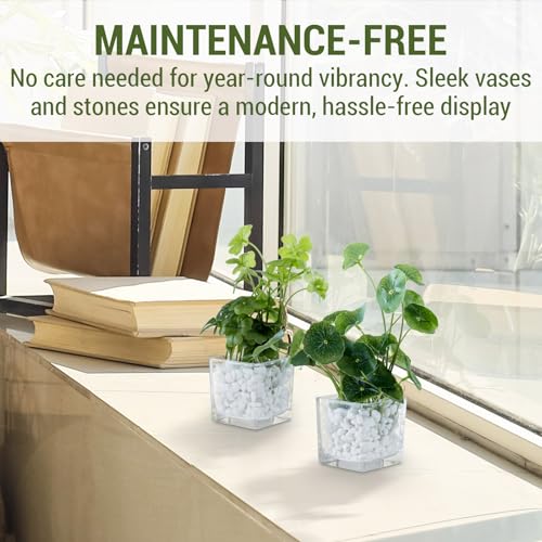 MyGift Artificial Clover and Taro Plants in Clear Glass Vase with Decorative White Stones, Set of 3 - color: Clear (White Pebbles)