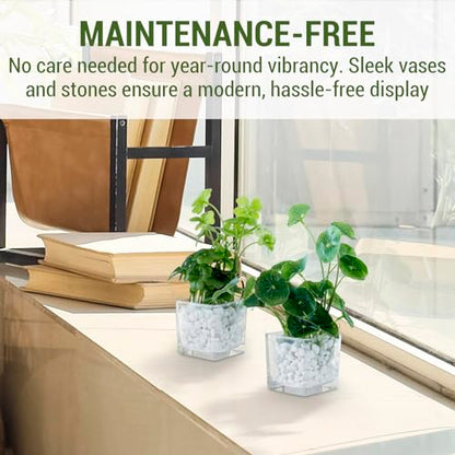 MyGift Artificial Clover and Taro Plants in Clear Glass Vase with Decorative White Stones, Set of 3 - color: Clear (White Pebbles)